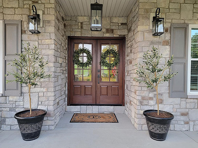 Use Large Olive Trees to Decorate Porches and Entryways – REALEAD